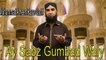 Ay Sabz Gumbad Waly | HD Video | Naat | Muhammad Ameen Raza Qadri | Naat