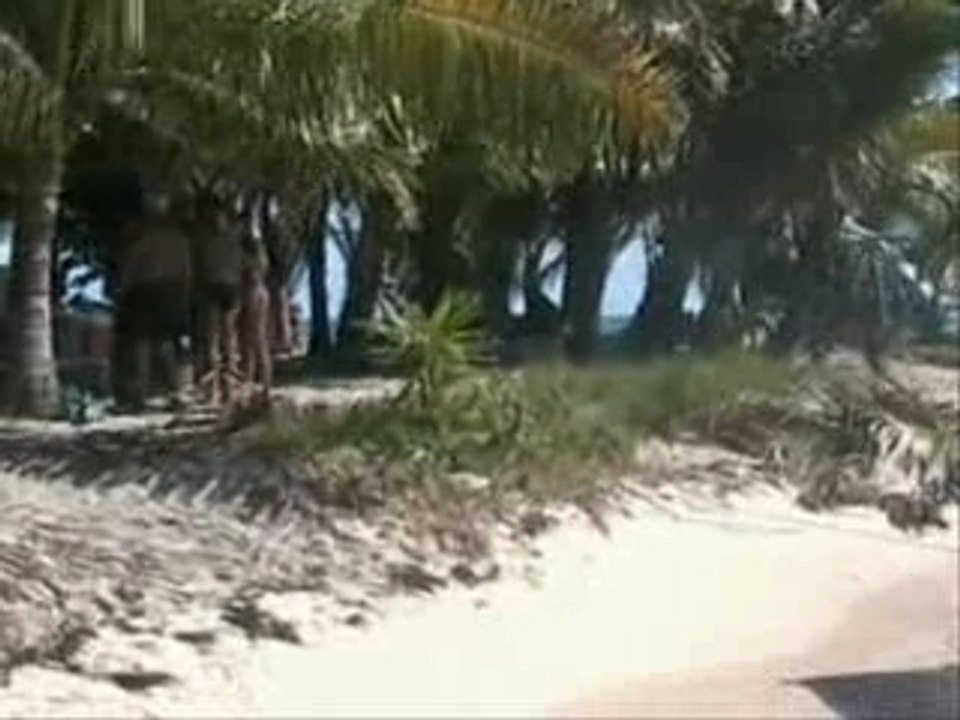 la guadelouppe basse terre