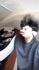 cuando tu perro se vomita en tu casa