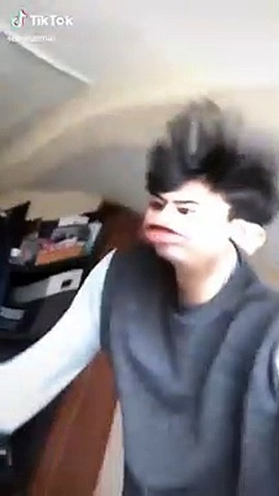 cuando tu perro se vomita en tu casa