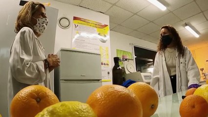 Santé - Plus de vitamine C dans mon Jus !