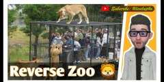 Zoo where you are in cage|Reverse  innovative zoo|The new Zoo|Jungle Zoo|Zoo conservation programmes|#levelup4u