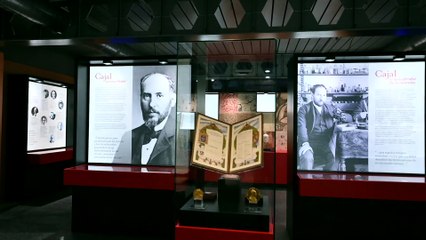 Ramón y Cajal, exposición en Madrid.