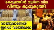 Gold Price Falls Sharply In Kerala Today