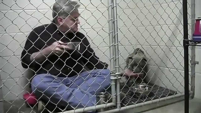 Ce vétérinaire essaie une approche adorable pour que le chien mange