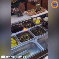 Cette employée de Subway s'endort en pleine préparation de sandwich