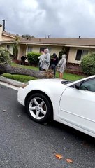 Jingle Brings a Smile to a Serious Situation