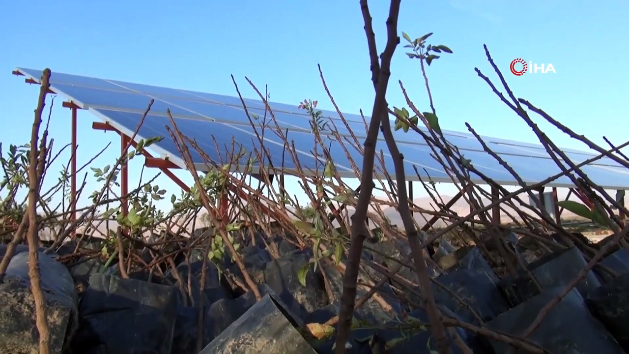Metropolden Tarlaya Döndü, Güneş Enerjisiyle Fıstık Bahçesi Kurdu