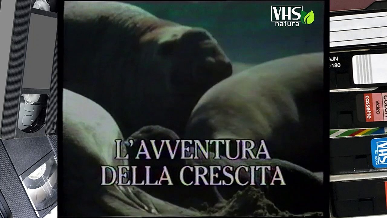 L' AVVENTURA DELLA CRESCITA