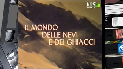 IL MONDO DELLE NEVI E DEI GHIACCI