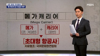 [쉬운 말로 우리말로 23] 대한항공과 아시아나가 만나 '메가캐리어?'