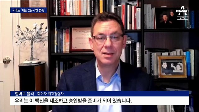 “내년 2분기엔 접종 시작”…정부, 5개 백신 중 고심