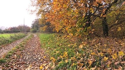 Offenbar Fall von Kannibalismus in Berlin