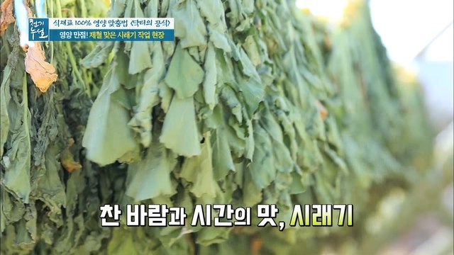 영양 만점! 제철 맞은 시래기 작업 현장!