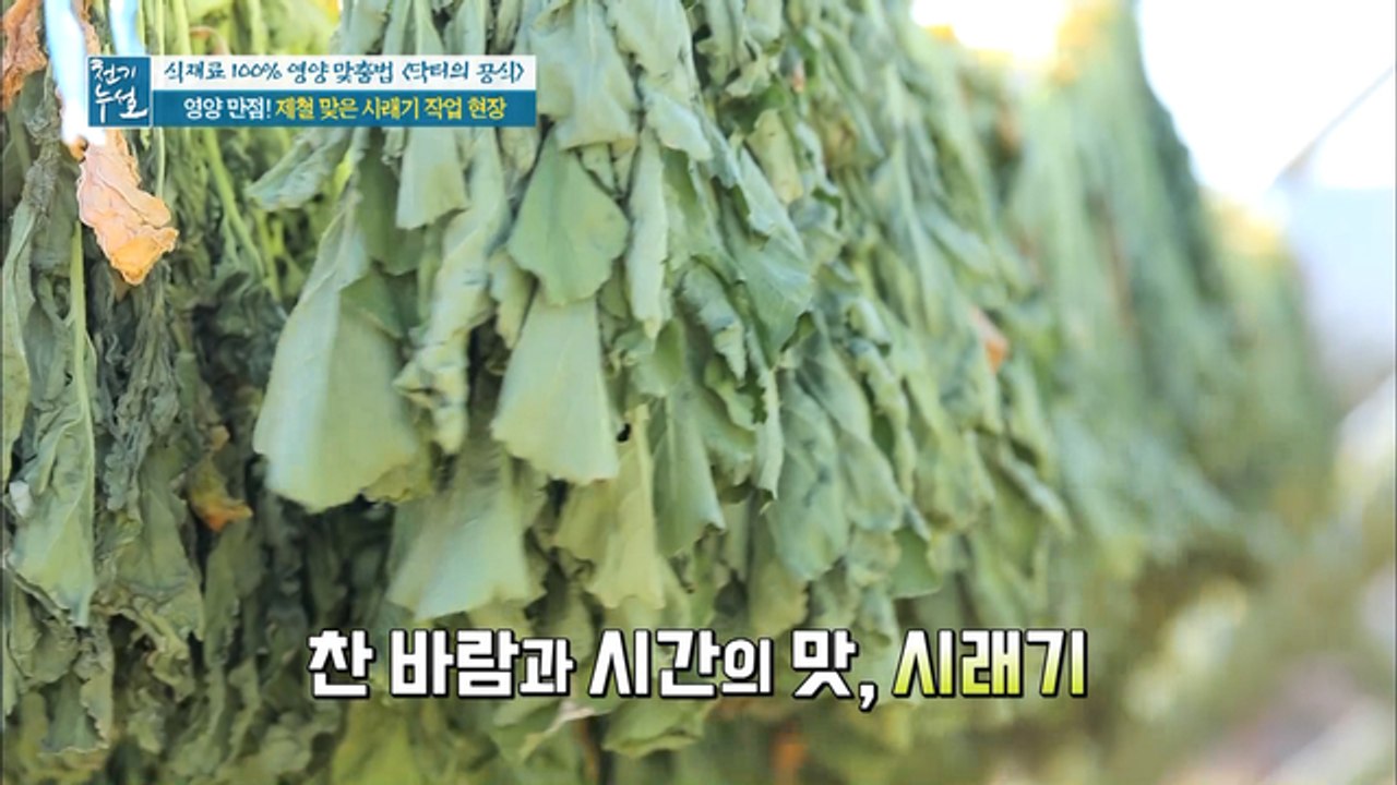 영양 만점! 제철 맞은 시래기 작업 현장!