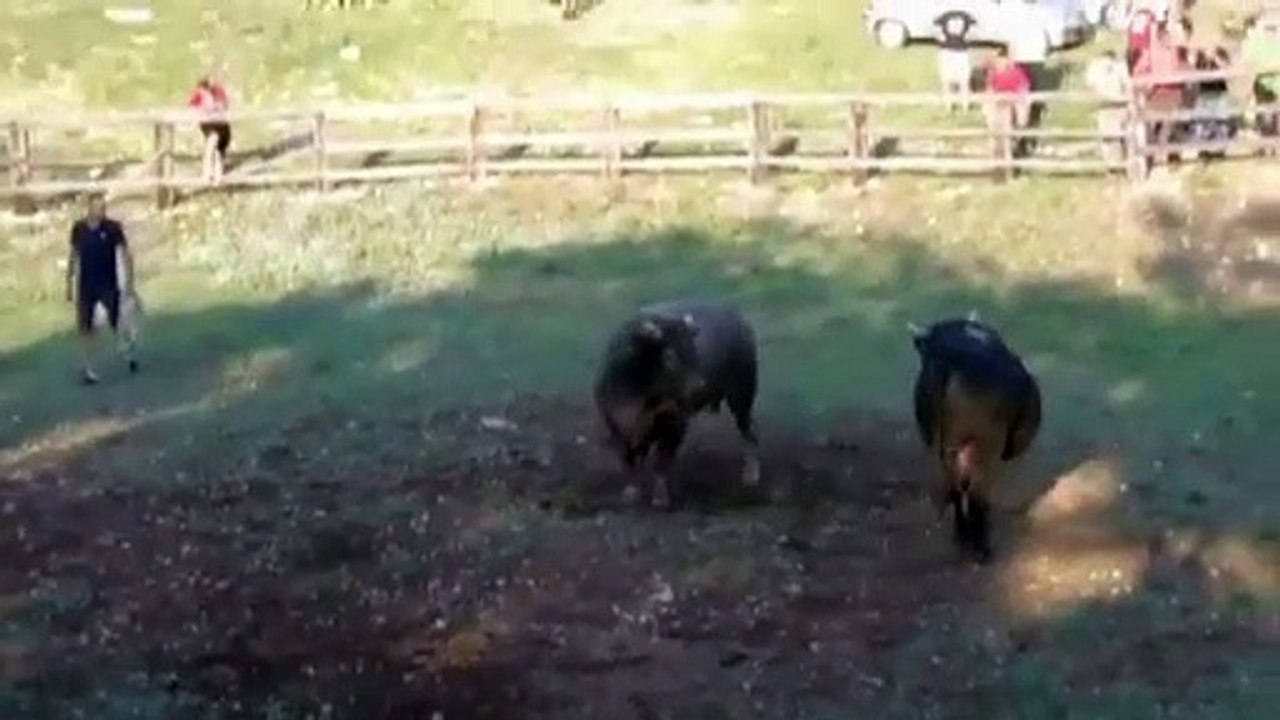 KOKANI POBIJEDILI U SESTANOVCU 2020