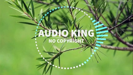 Audio King - Harmonie|Audio King|