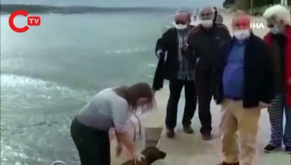 Kıyafetleri ile denize girip köpeği boğulmaktan kurtardı