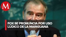 “Es totalmente contradictorio” dictamen aprobado sobre uso de mariguana: Fox