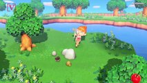 Joe Biden and AOC Might Get Kicked Off “Animal Crossing: New Horizons”