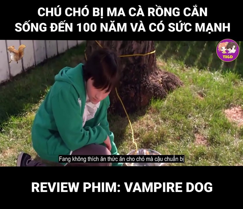 Review Phim  Vimpire Dog (2012)