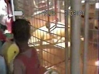 Cité des enfants hassania ramata et aminata nimaga