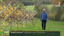 Vin : l’Angleterre développe son Beaujolais nouveau