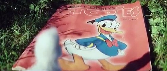 Little duck meet a Donald Duck in Disneyland