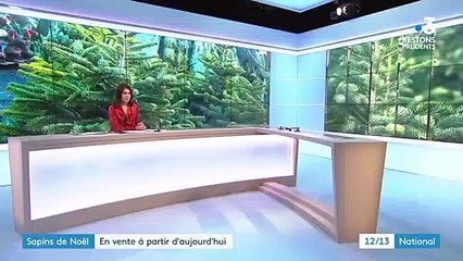 Noël : coup d'envoi lancé pour la vente de sapins
