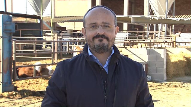 PP catalán cree que 'Ley Celaá' pone educación especial al servicio de ideología