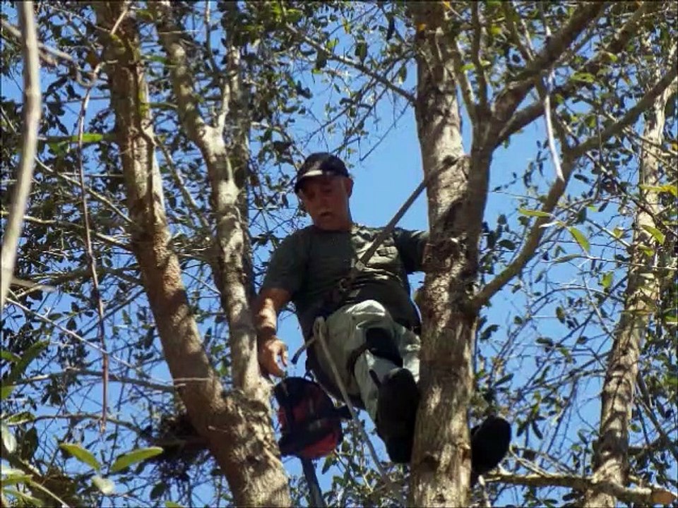 Cutting Down a Tree By Yourself