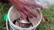 Bottle Fish Trap _ Amazing Boy Catch Fish With Plastic Bottle Fish Trap