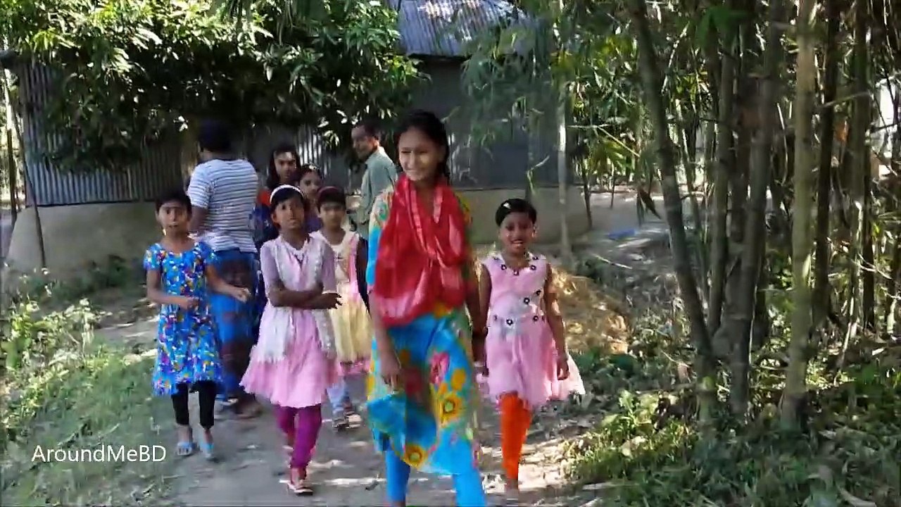 Fish Trapping Machine Created _ Unique Fishing System _ Country Fish Catching Wi