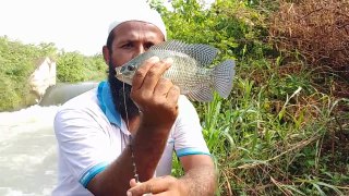 Baam Fishing__Indian Eel Fishing__Fishing __Baam Fish catchin