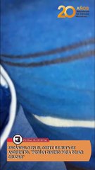 ESCÁNDALO EN EL CORTE DE RUTA DE ANDRESITO PEDÍAN DINERO PARA DEJAR CRUZAR