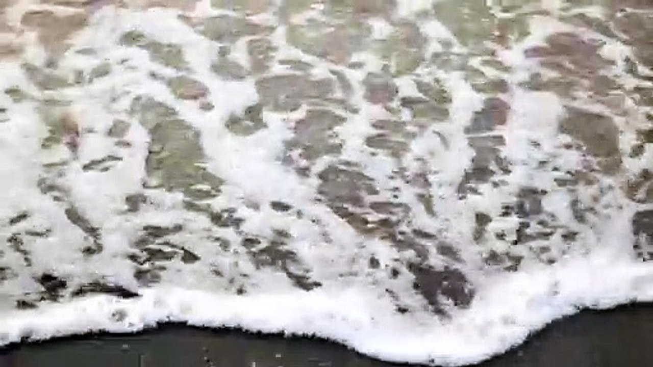 Sea Waves Shorenatural beautiful royalty Free Stock no copyright video Free for commercial use dron dron aerial view