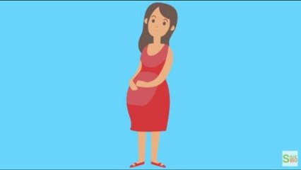 El tamaño de tu bebé mes a mes