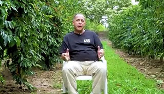 How millions of pounds of coffee are processed at Hawaiian coffee farms