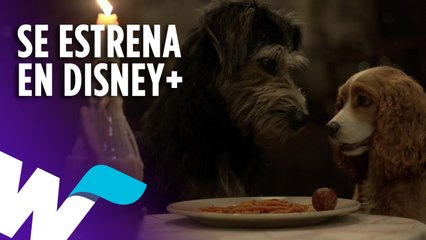 "LA DAMA Y EL VAGABUNDO" VERSIÓN LIVE ACTION SE ESTRENA EN DISNEY+ Y MÁS.