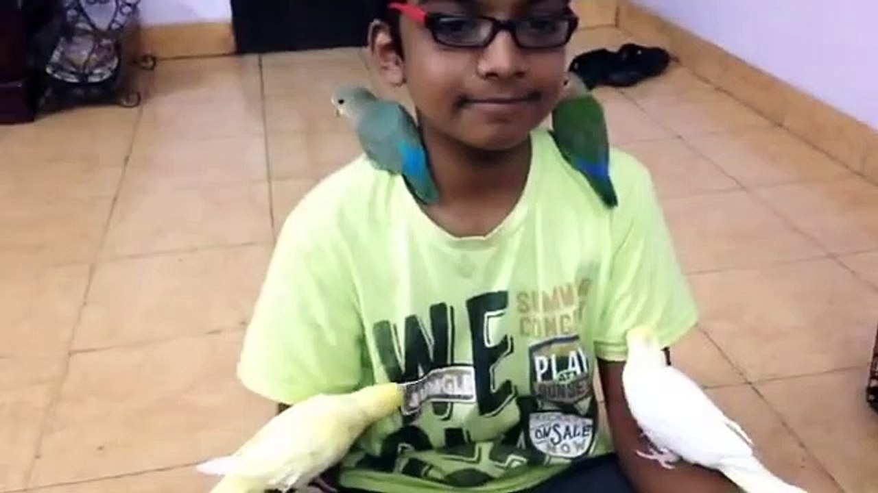 My pets