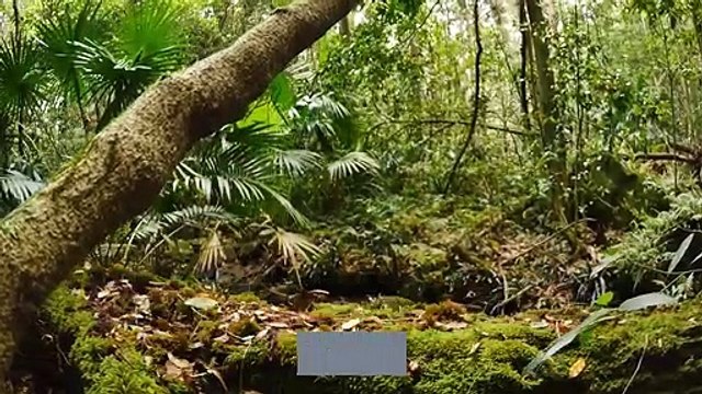 Wrongful death lawsuit filed over actress Naya Rivera’s drowning in