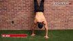 Jeff Cavaliere - ATHLEAN-X 66 Bodyweight Exercises - Mr.Perfect