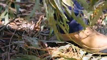 Mining giant hands back Argyle site to traditional owners