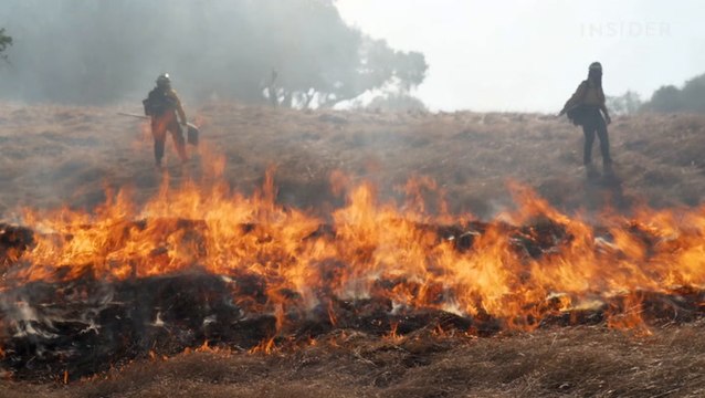 Californians are turning to Indigenous groups and their 'controlled burns' to combat the worst wildfire season in history