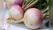 सर्दियों में ना भूलें शलजम, सेहत और स्किन दोनों को मिलेगा फायदा । Turnip Eating Benefits । Boldsky