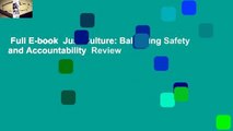 Full E-book  Just Culture: Balancing Safety and Accountability  Review