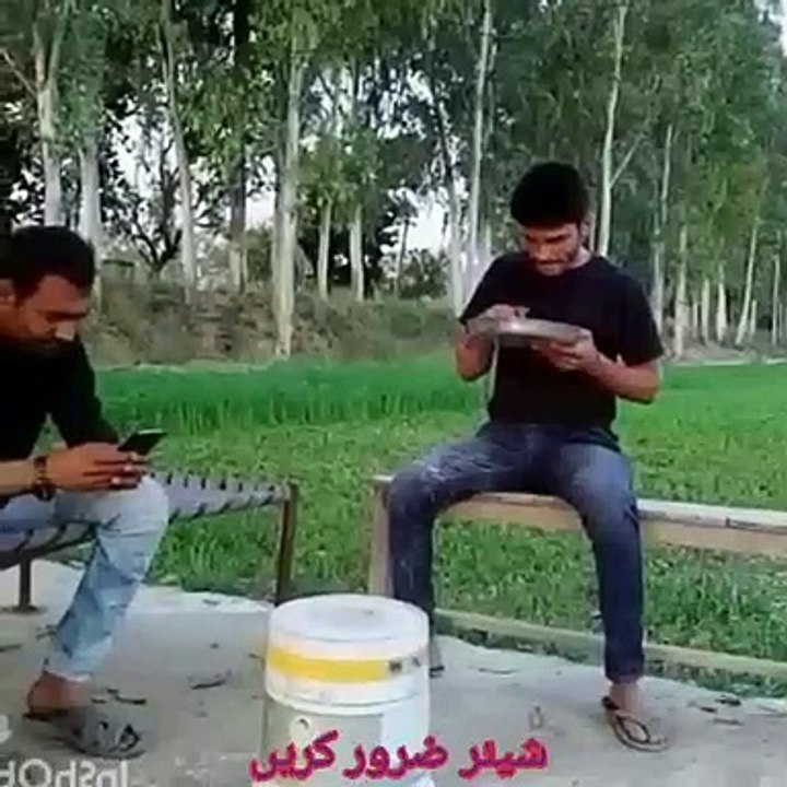 Best Funny Video Of Tik Tok In 2020 || Best Comedy Scene || New Funny Video Of Tik Tok || New Comedy || Best Funny Video || Tik Tok Funny Video