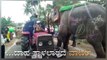 Thirsty Elephant Stops Water Tanker to Drink Water