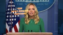 Kayleigh McEnany ends the briefing without taking a question from CNN - 'I don't call on activists.'