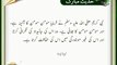 Momin Momin Ka Aina Hay | HD Islamic | Nabi (S.A.W) ka Farman | Hadees